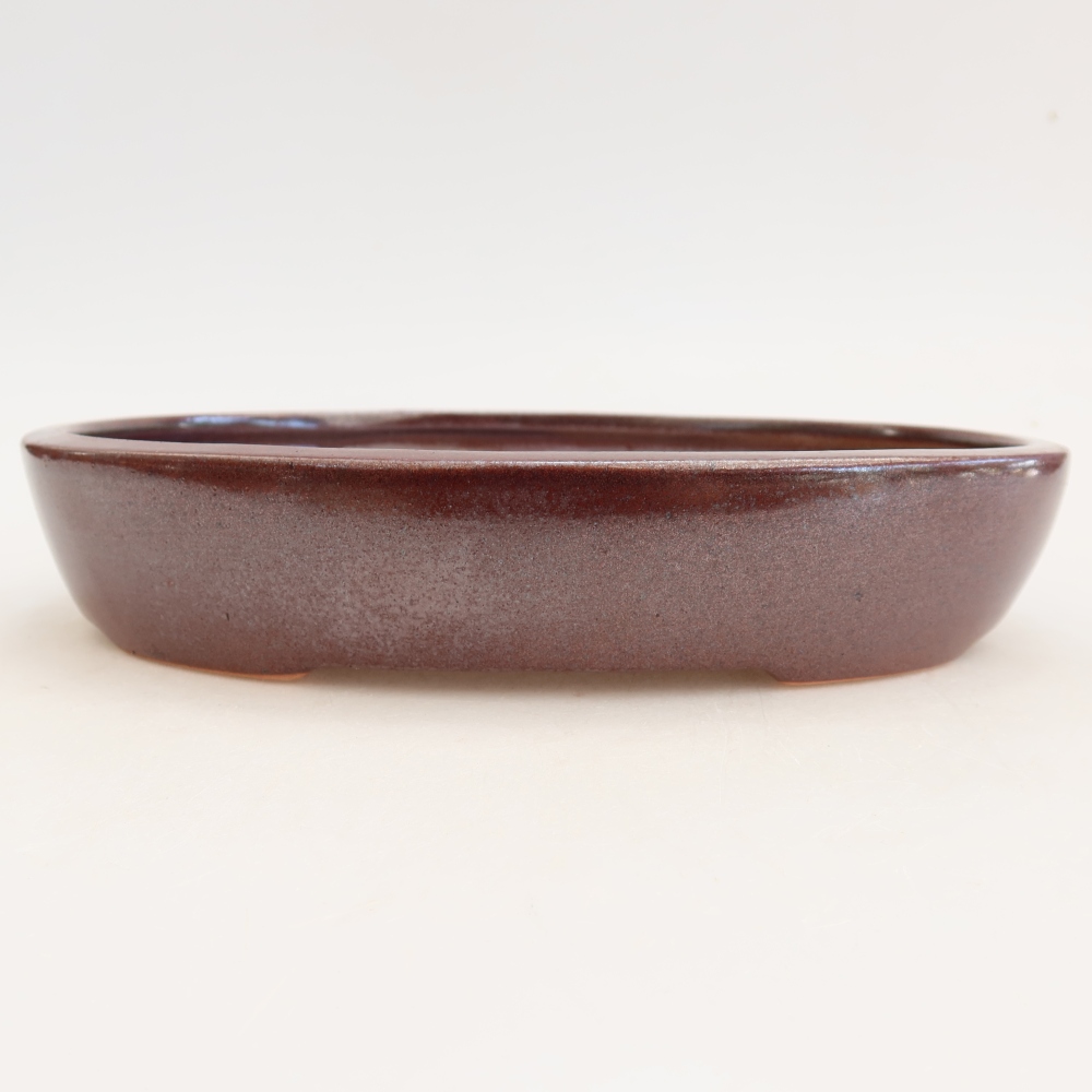 Keramická miska na bonsaje 22 x 17 x 4 cm, farba vínová