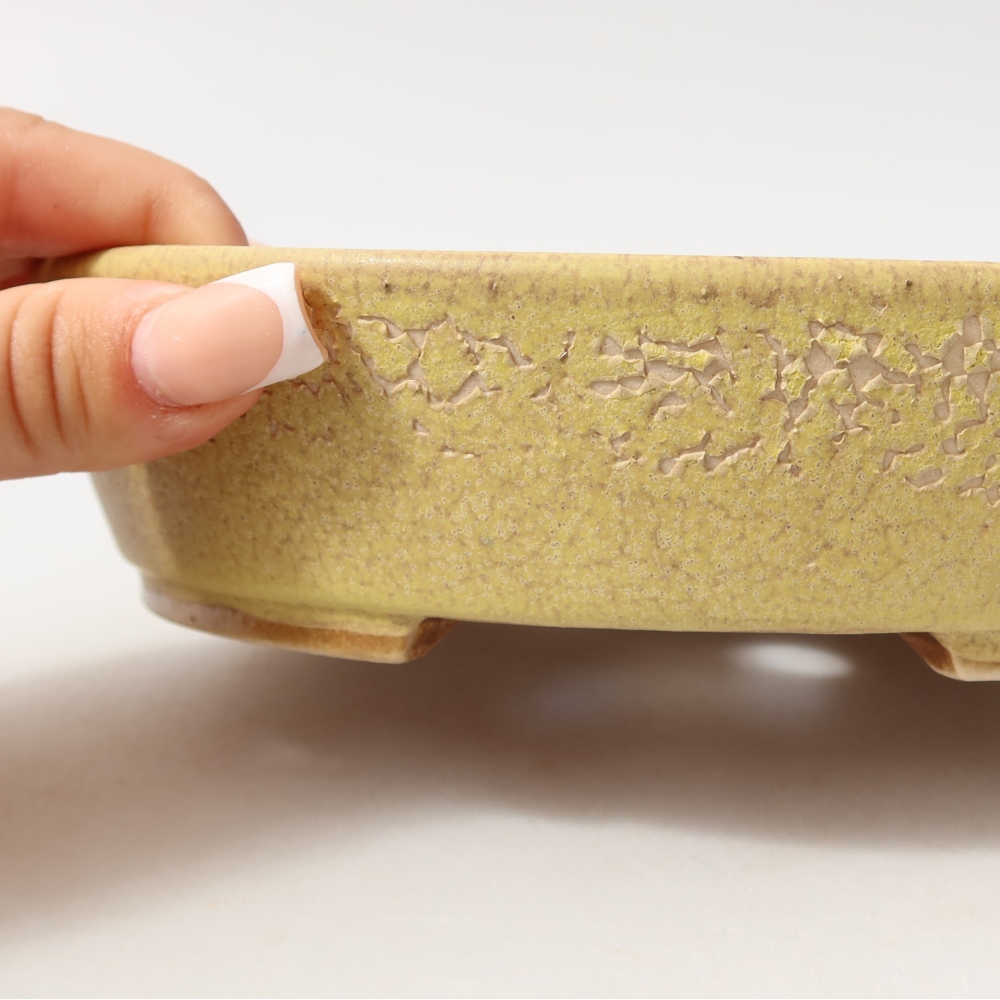 Keramická miska na bonsai 18,5 x 16,5 x 4,5 cm, farba žltá