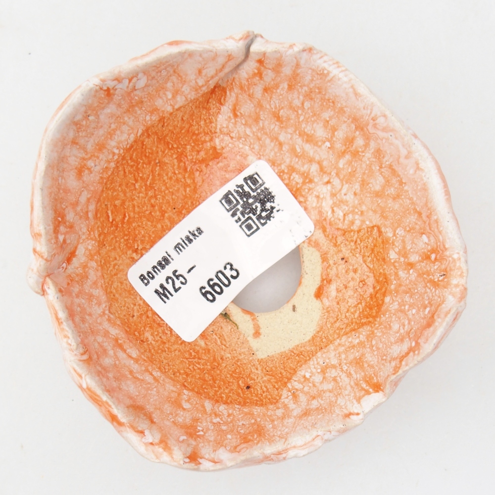 Keramická mušľa 8 x 8 x 4,5 cm , farba oranžová