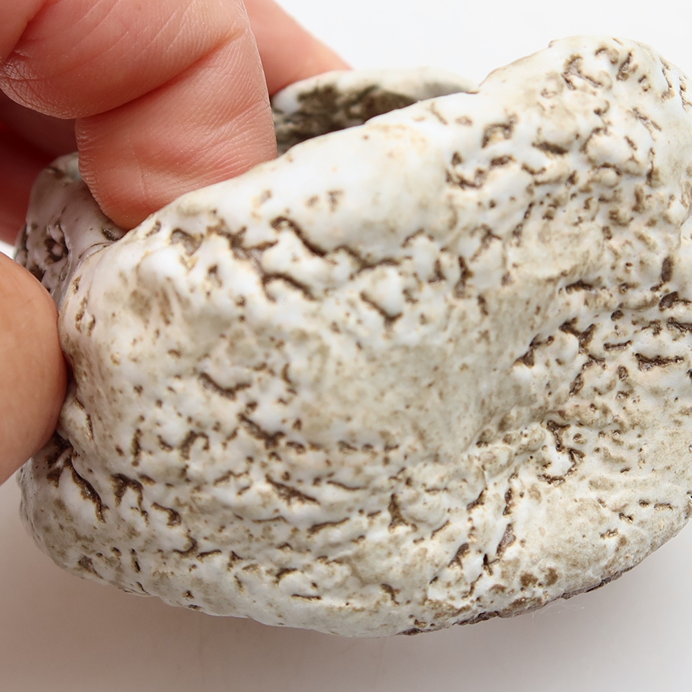 Keramická škrupina  6 x 6 x 5 cm, farba hnedobiela