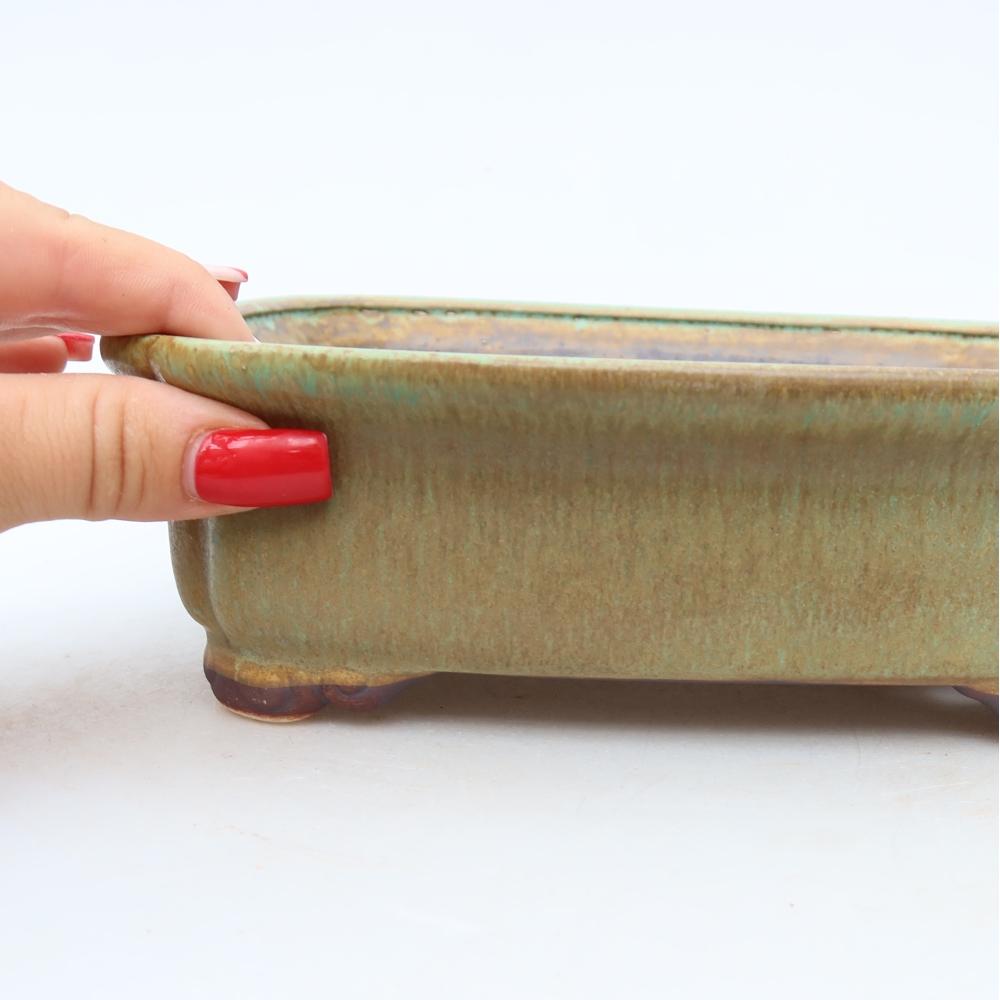 Keramická miska na bonsaje 20 x 17,5 x 6 cm, farba zelená