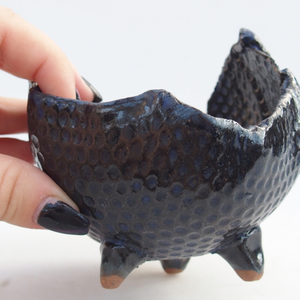 Keramická mušľa 10 x 8,5 x 8,5 cm , farba modrá