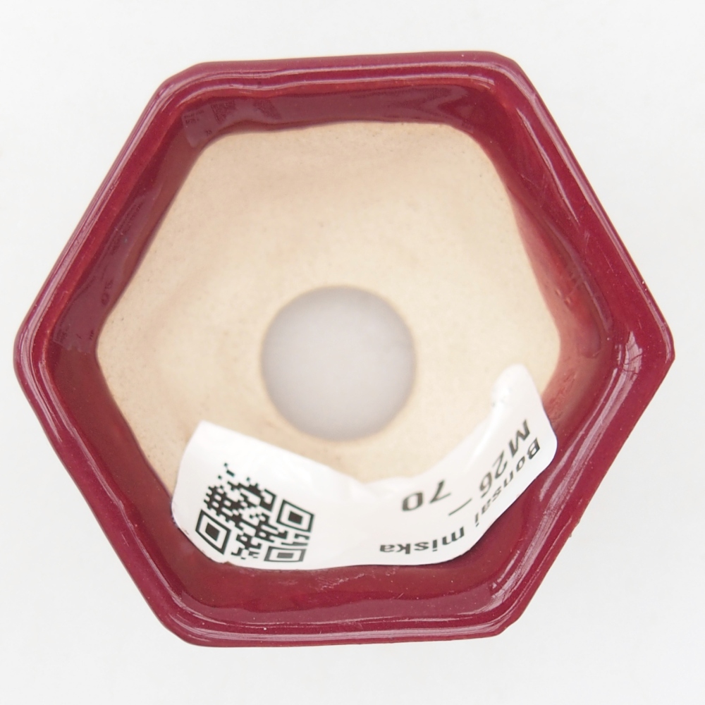 Mini bonsajová miska 5 x 4,5 x 3 cm, bordová