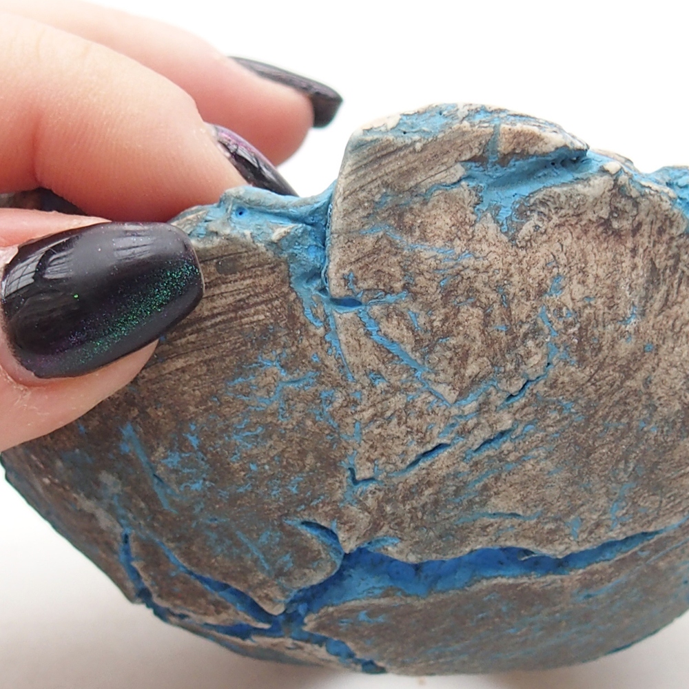 Keramická mušľa 9 x 9 x 5,5 cm , farba modrá