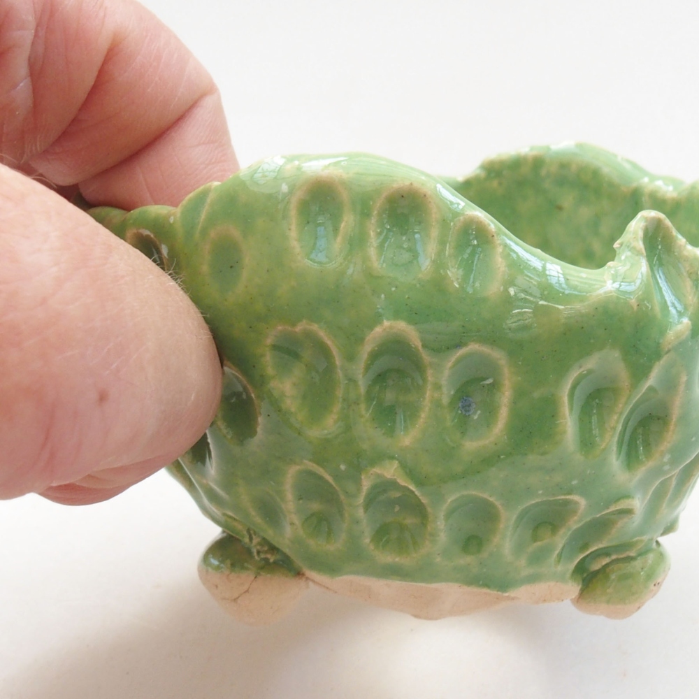 Keramická Škrupina 7 x 7 x 5 cm, farba zelená