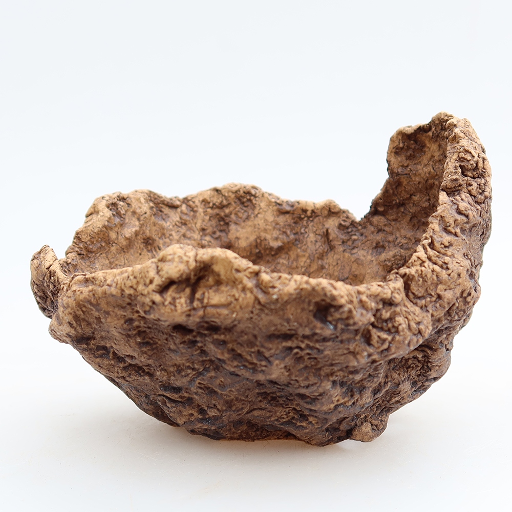Keramická mušľa 10 x 9,5 x 8 cm , farba hnedá