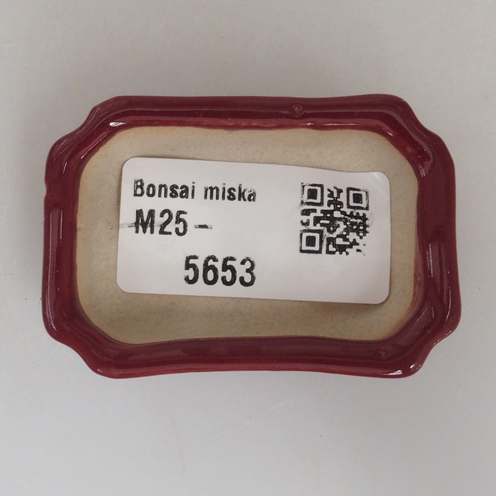 Mini bonsai miska 5,5 x 3,5 x 1,5 cm, farba vínová