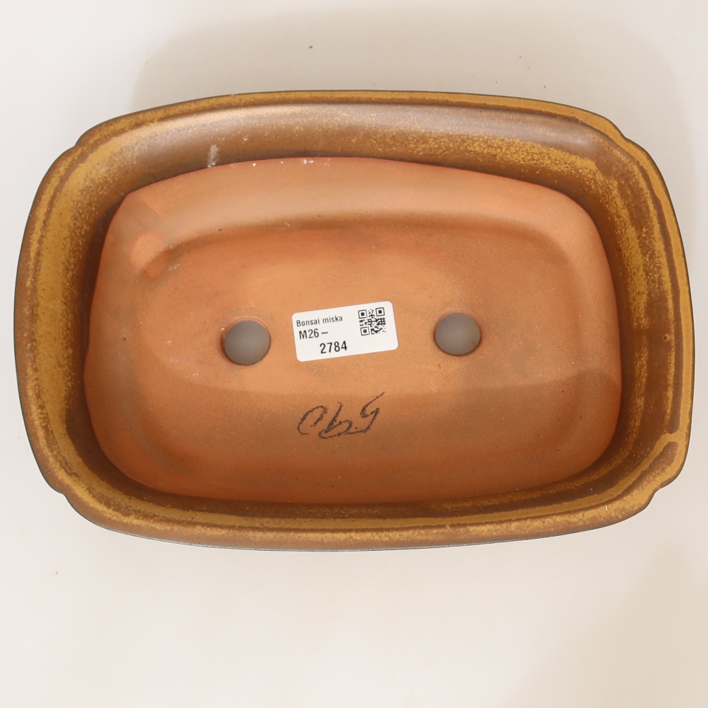 Keramická miska  24 x 17 x 6 cm, farba žltá