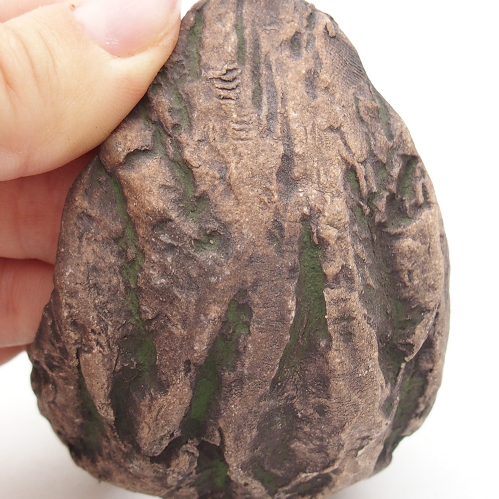 Keramická mušľa 8 x 5,5 x 7 cm , farba zelená