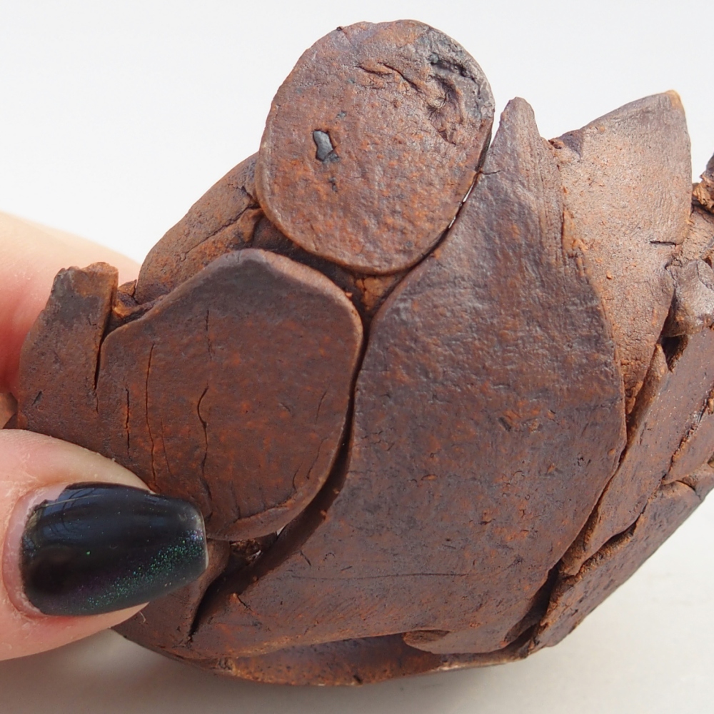 Keramická mušľa 8,5 x 8,5 x 5,5 cm , farba hnedá