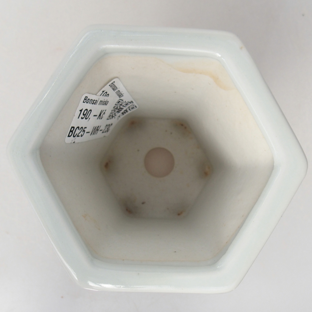 Keramická miska na bonsaje 10 x 9 x 9 cm, farba biela