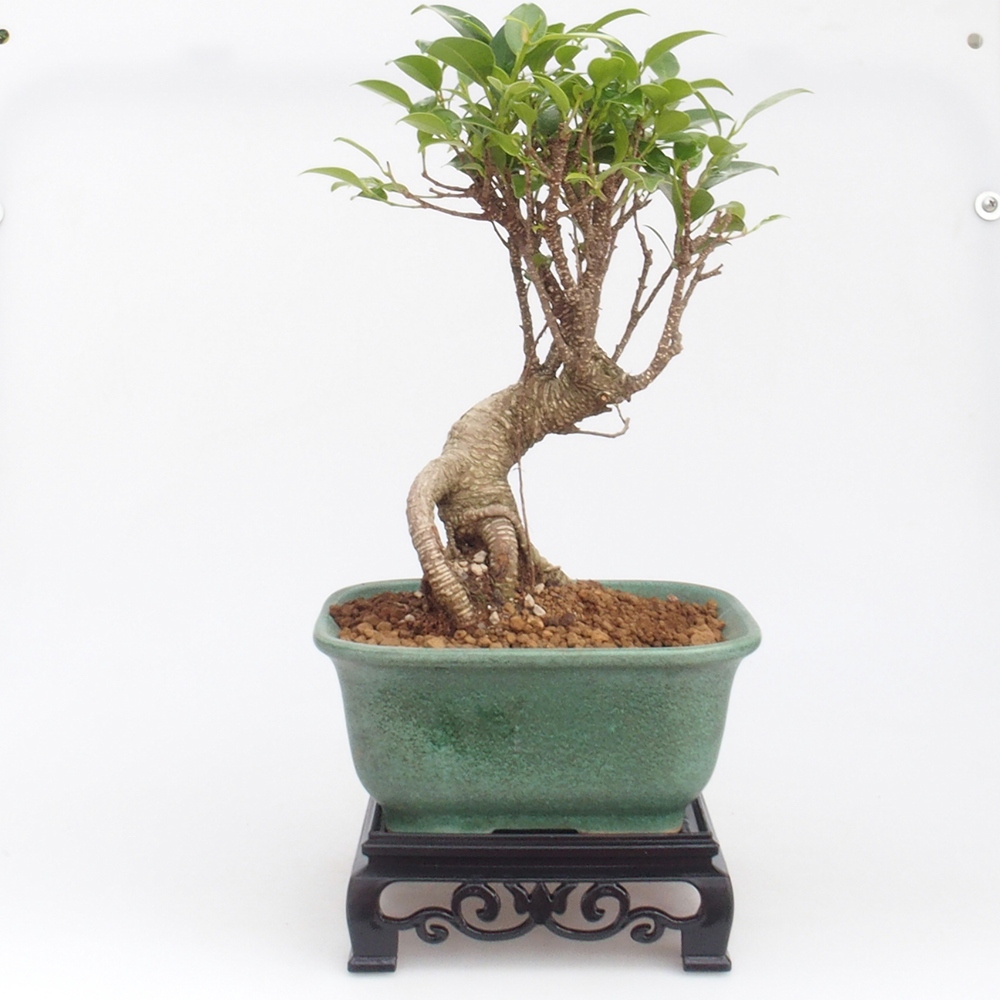 Bonsai stolík plastový štvorcový 14,5 x 14,5 x 5  cm, farba čierna