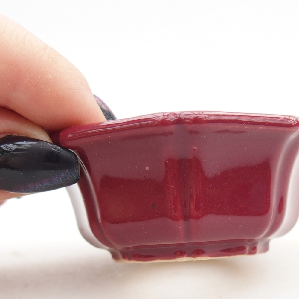 Mini bonsajová miska 6 x 6 x 2,5 cm, bordová