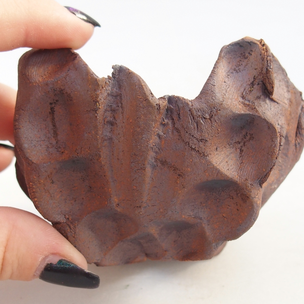 Keramická mušľa 9 x 9 x 6,5 cm , farba hnedá