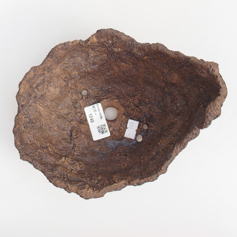 Keramická mušľa 19 x 15 x 14 cm , farba hnedá