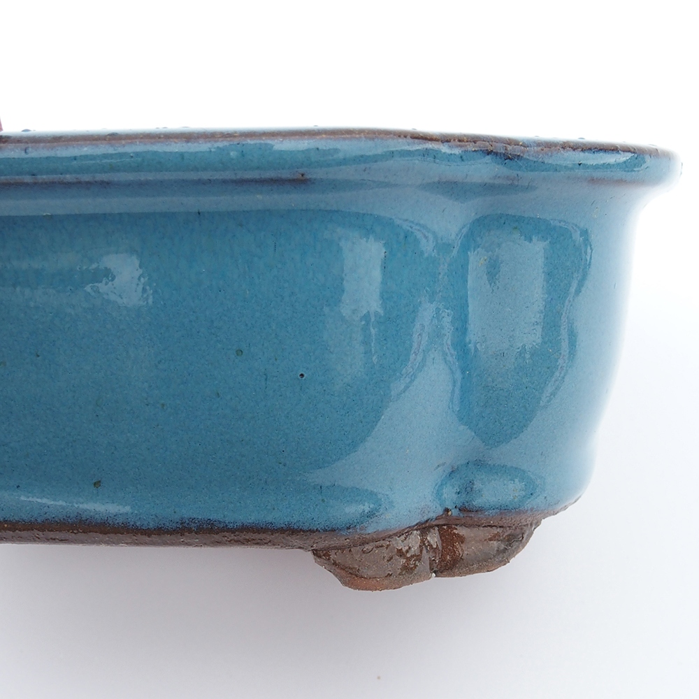 Misa 20 x 16 x 6,5 cm modrá