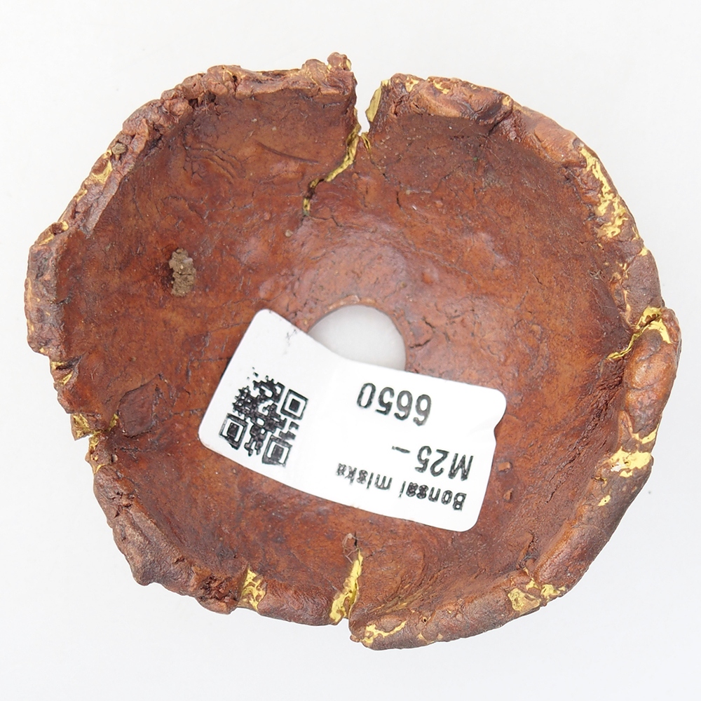 Keramická mušľa 7 x 6,5 x 4 cm , farba žltá