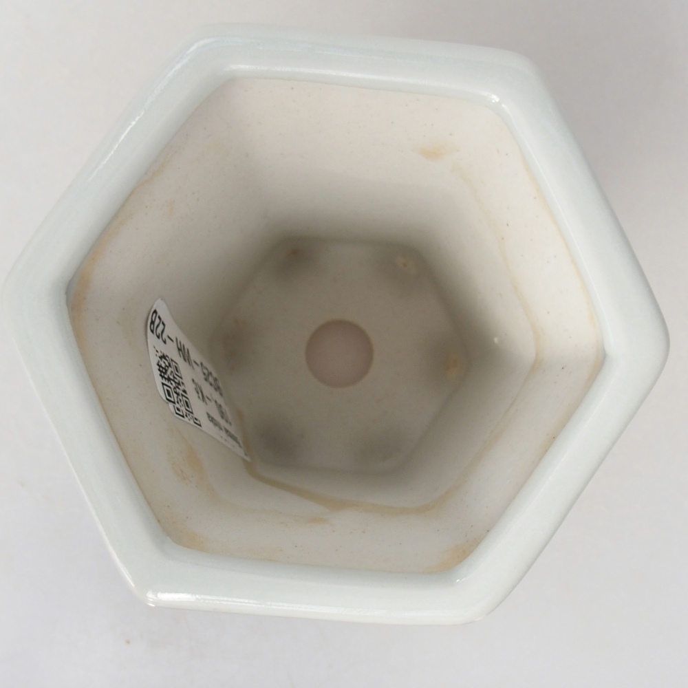 Keramická miska na bonsaje 10 x 9 x 9 cm, farba biela