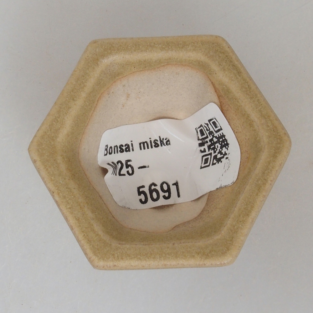 Mini bonsai miska 4,5 x 4,5 x 2,5  cm, farba hnedá