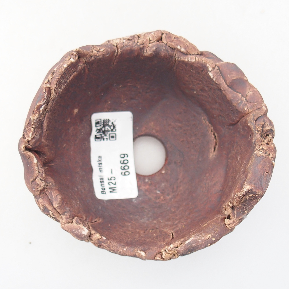 Keramická mušľa 9 x 9 x 6 cm , farba hnedá