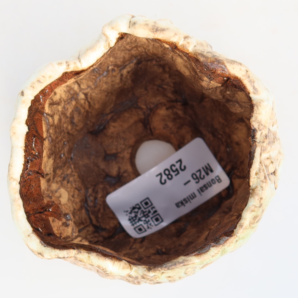 Keramická škrupina  7 x 7 x 6,5 cm, farba bielo-hnedá