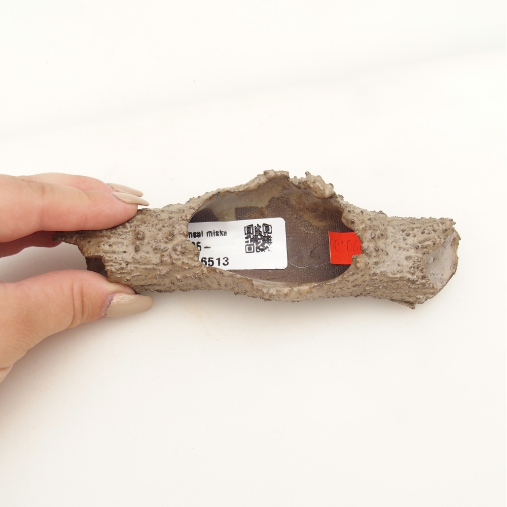 Keramická mušľa 15 x 5 x 3 cm , farba béžová