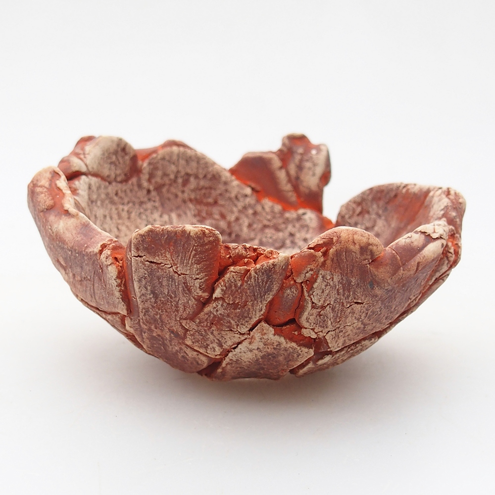 Keramická mušľa 9 x 9 x 5 cm, farba oranžová