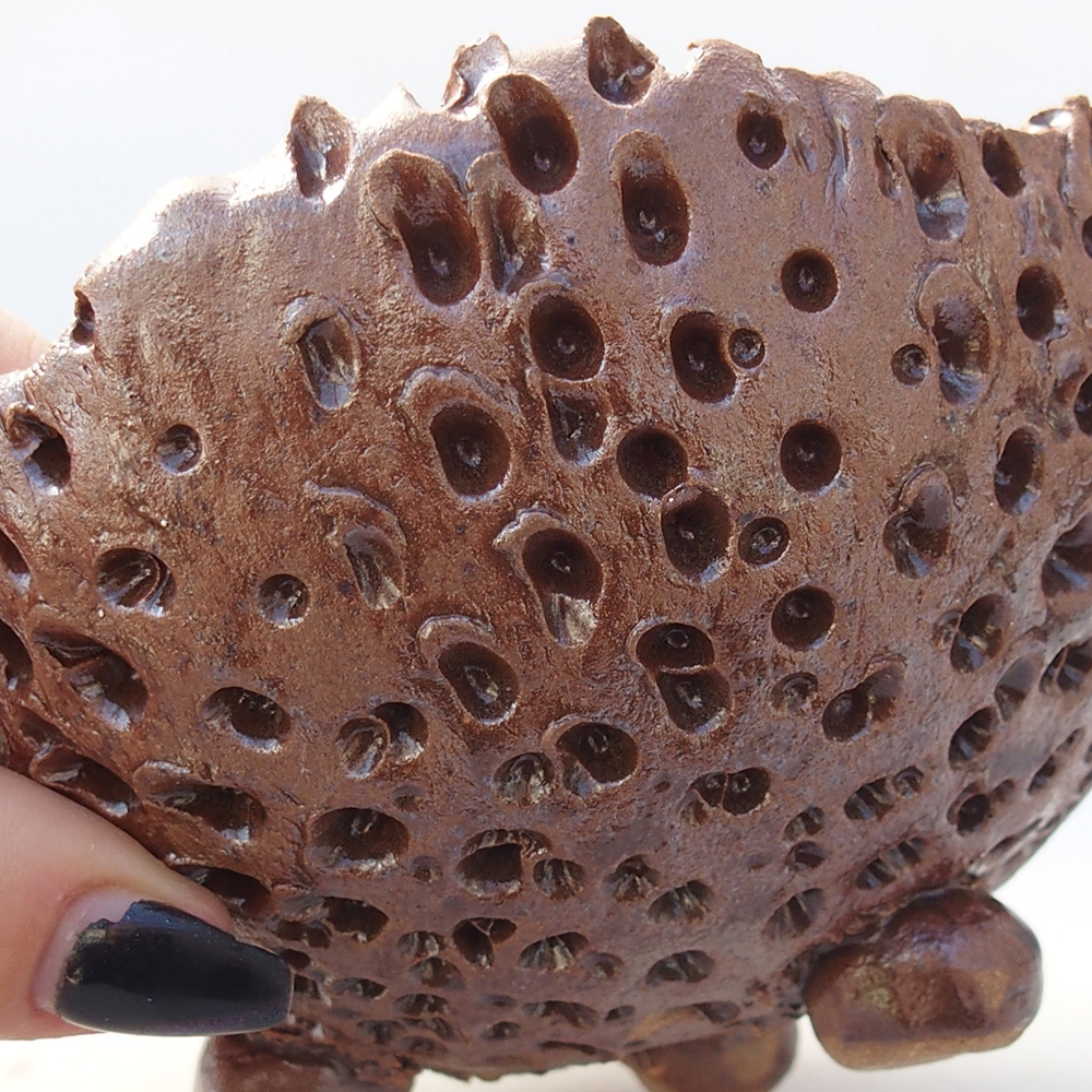 Keramická mušľa 12,5 x 12,5 x 9 cm , farba hnedá