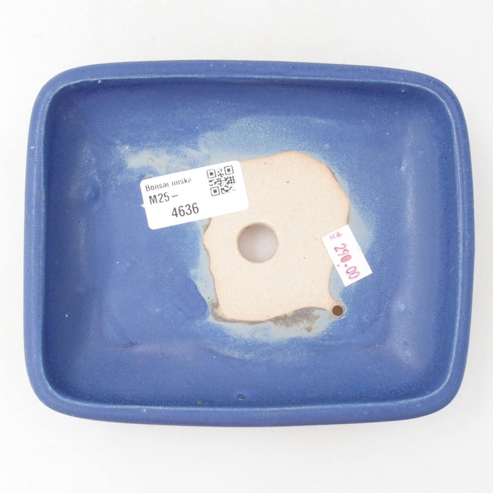 Keramická bonsai miska 17 x 13,5 x 3,5 cm, farba modra