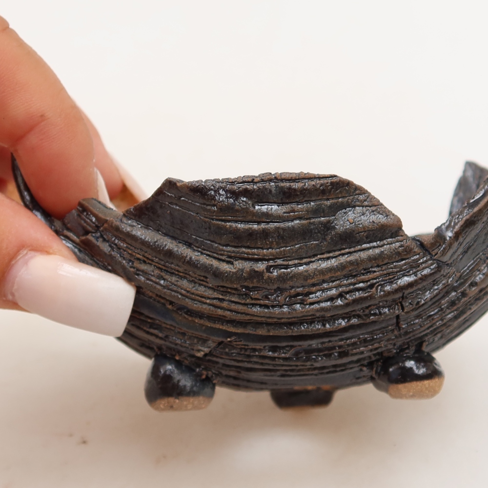Keramická škrupina  11 x 8,5 x 6,5 cm, farba čierno-zelená
