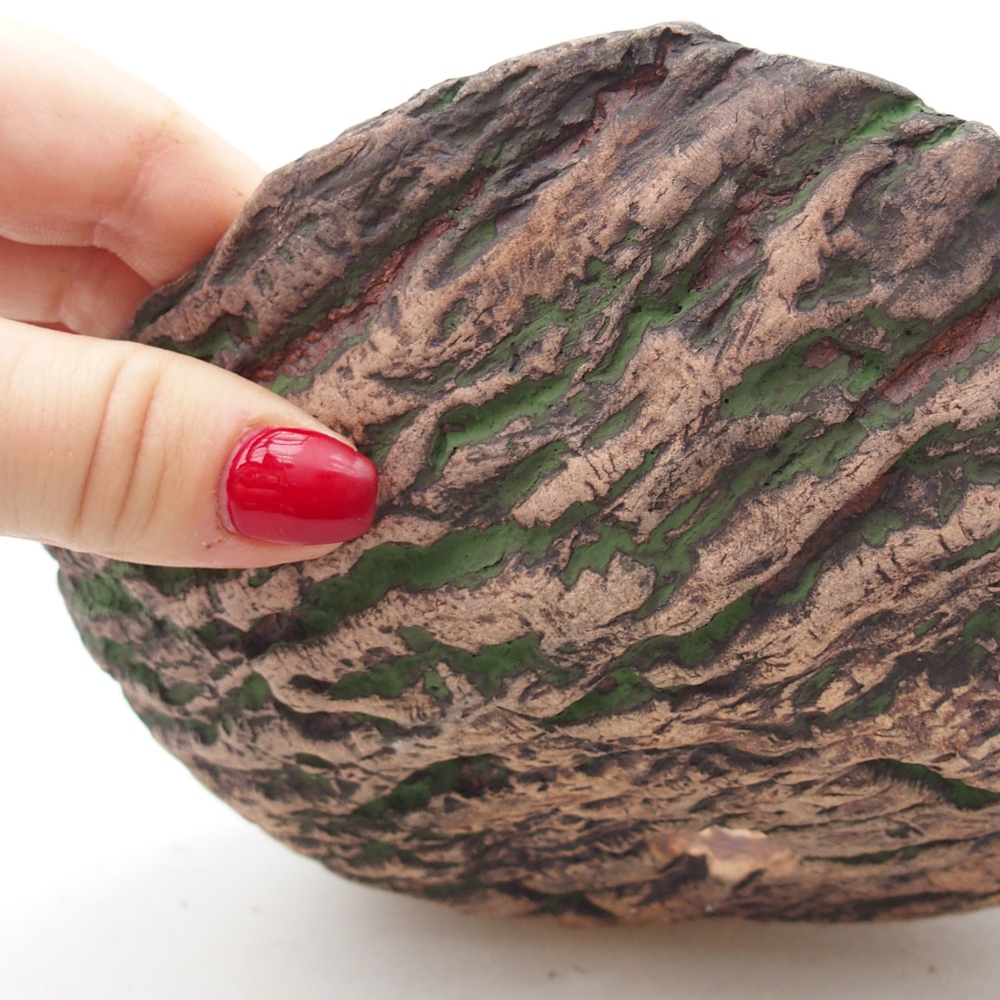 Keramická mušľa 20 x 16 x 6,5 cm , farba zelená