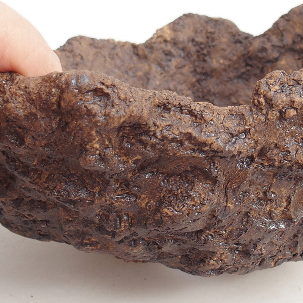 Keramická mušľa 19 x 15 x 14 cm , farba hnedá