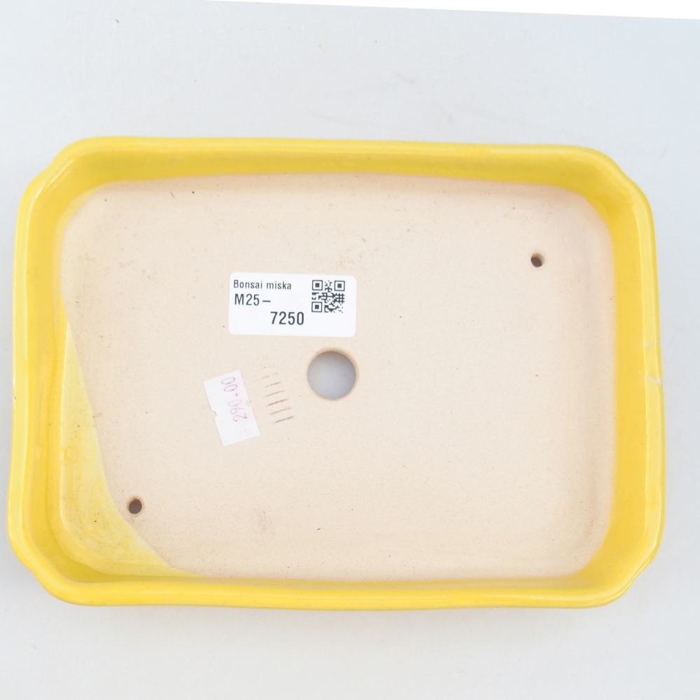 Keramická miska na bonsaje 18,5 x 13,5 x 3,5 cm, žltá