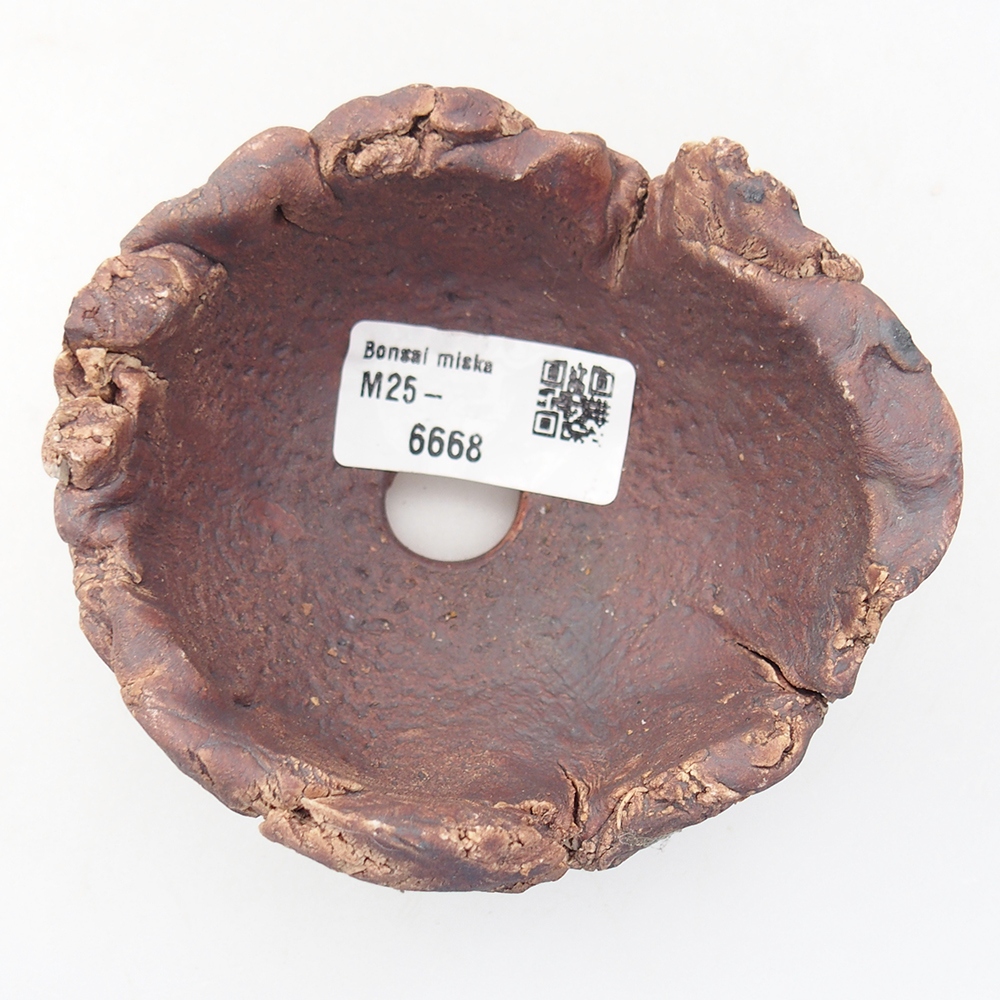 Keramická mušľa 10 x 9 x 5,5 cm , farba hnedá