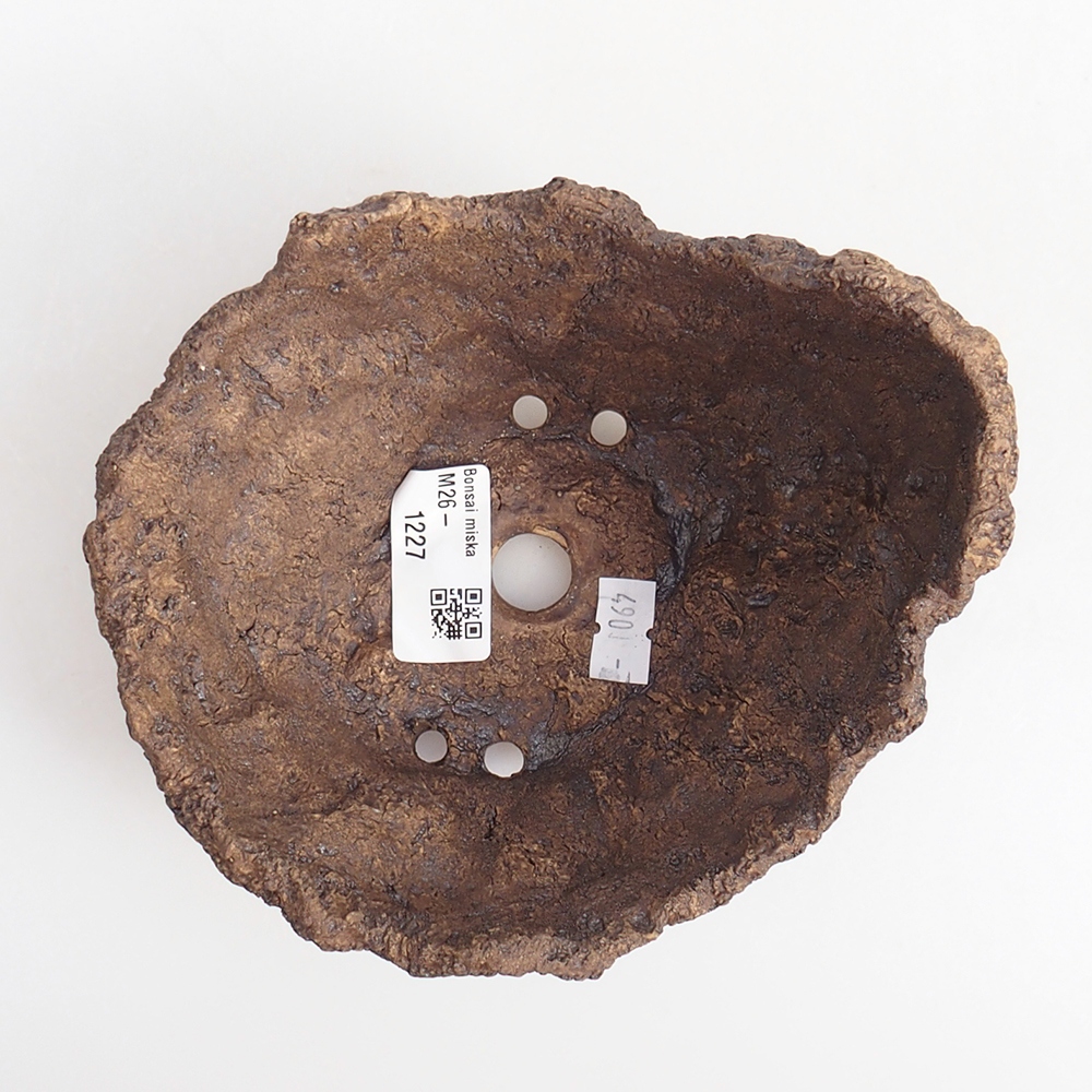 Keramická mušľa 14 x 13 x 12 cm , farba hnedá