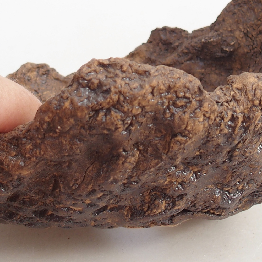 Keramická mušľa 14,5 x 13 x 13 cm , farba hnedá