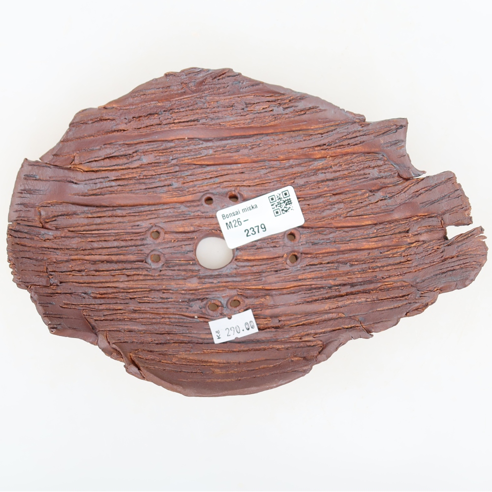 Keramická škrupina  21 x 15 x 5,5 cm, farba hnedá