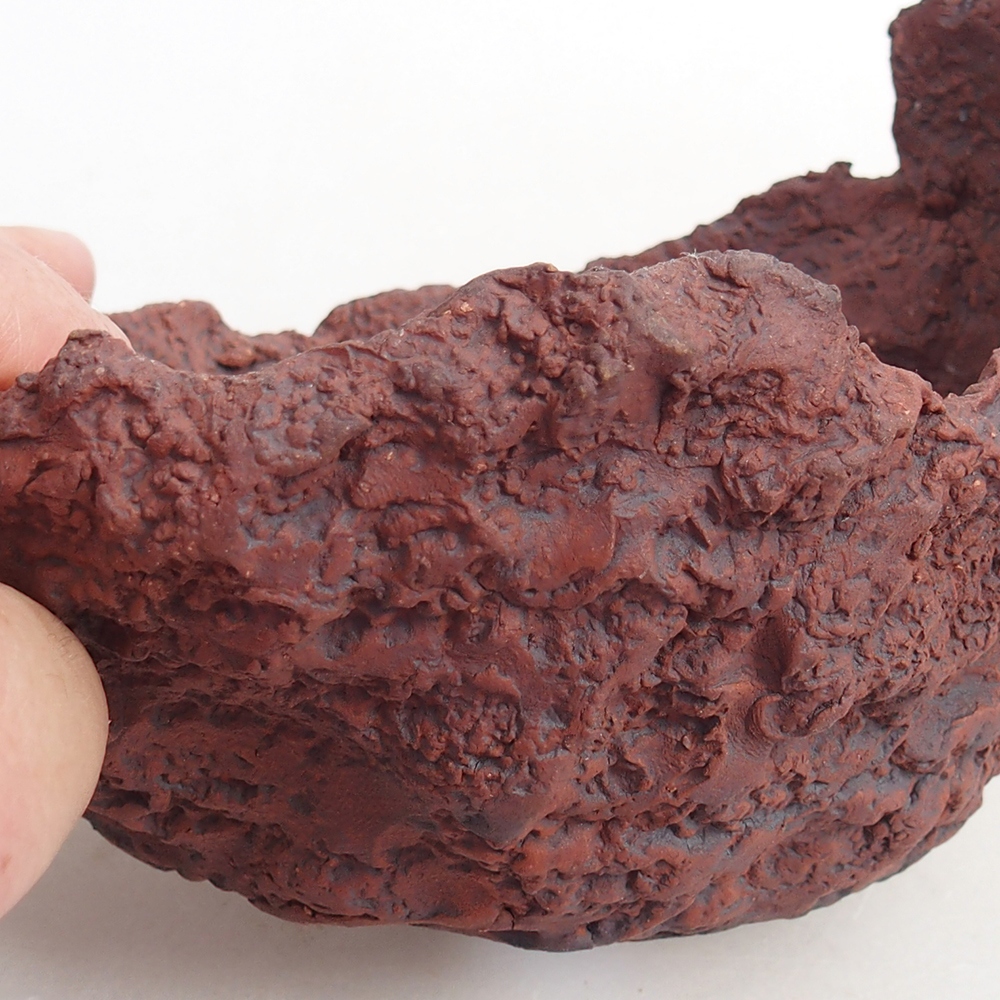 Keramická mušľa 13 x 11,5 x 10,5 cm , farba hnedá