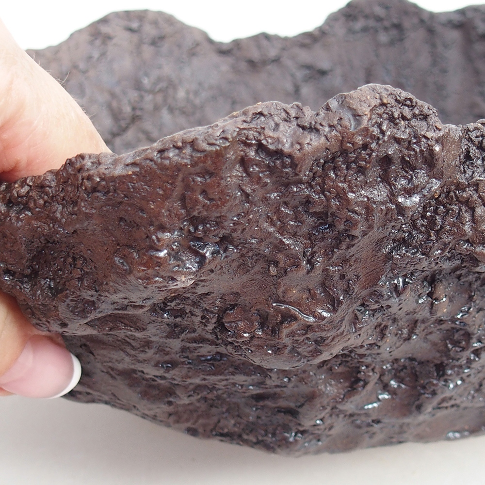 Keramická mušľa 19 x 15 x 14 cm , farba hnedá