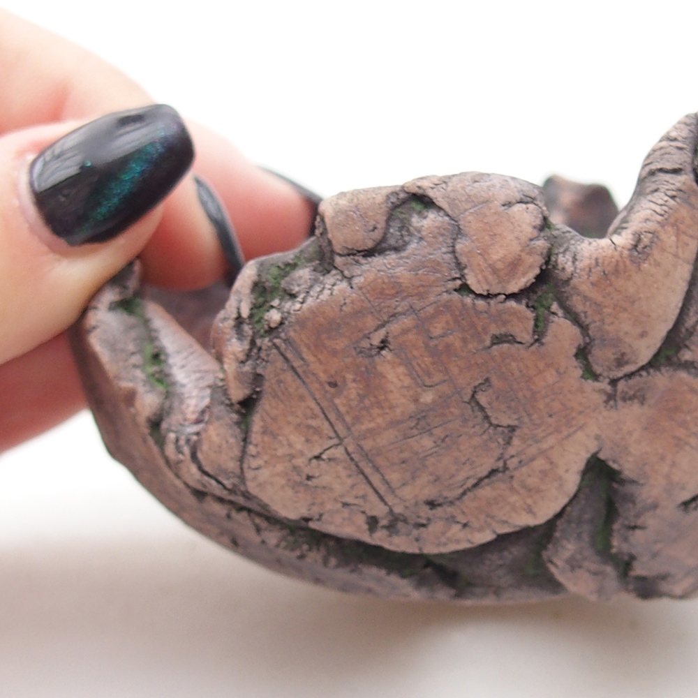 Keramická mušľa 8,5 x 6 x 6,5 cm , farba zelená