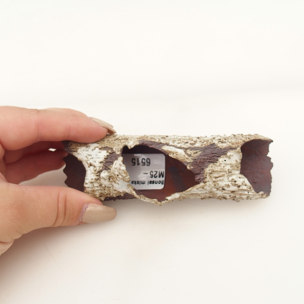 Keramická mušľa 11 x 4 x 3 cm , farba béžová