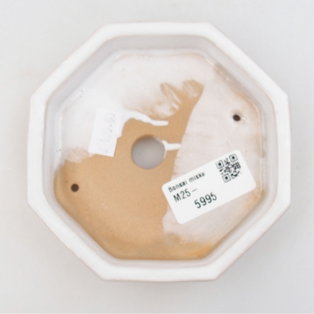 Keramická bonsai miska 11,5 x 11,5 x 2,5 cm, farba biela