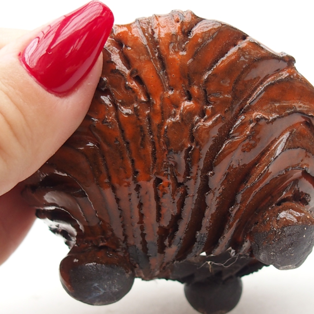 Keramická mušľa 8,5 x 8,5 x 5 cm, farba oranžová