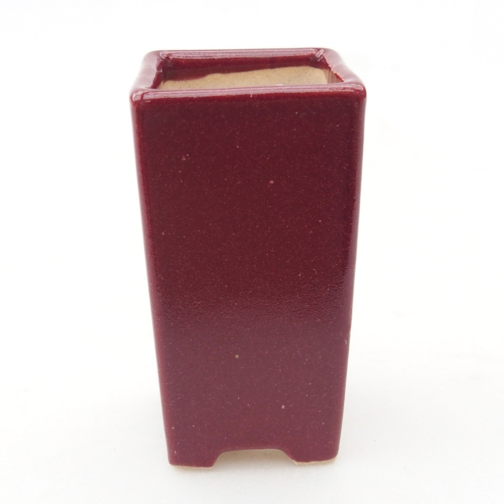 Mini bonsajová miska 3 x 3 x 5,5 cm, bordová