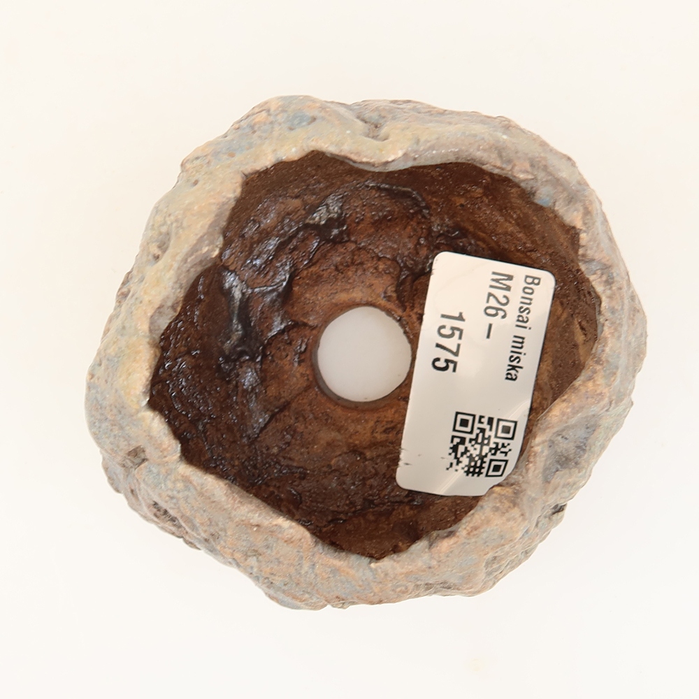 Keramická škrupina  5,5 x 5,5 x 6 cm, farba modrá