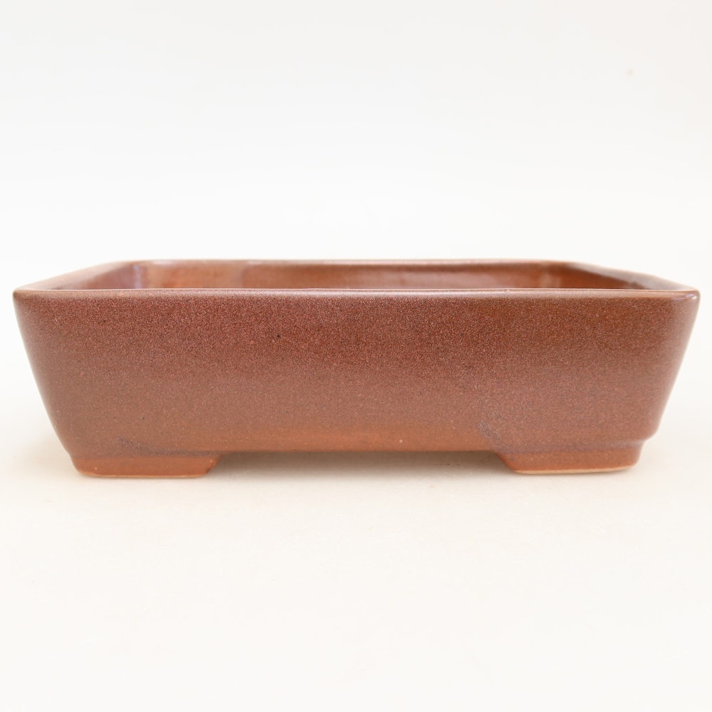 Keramická miska na bonsaje 18 x 13 x 5 cm, farba vínová