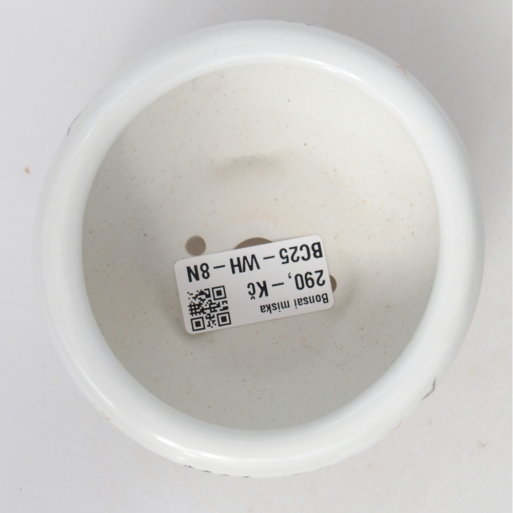 Keramická miska na bonsaje 10 x 10 x 5 cm, farba biela