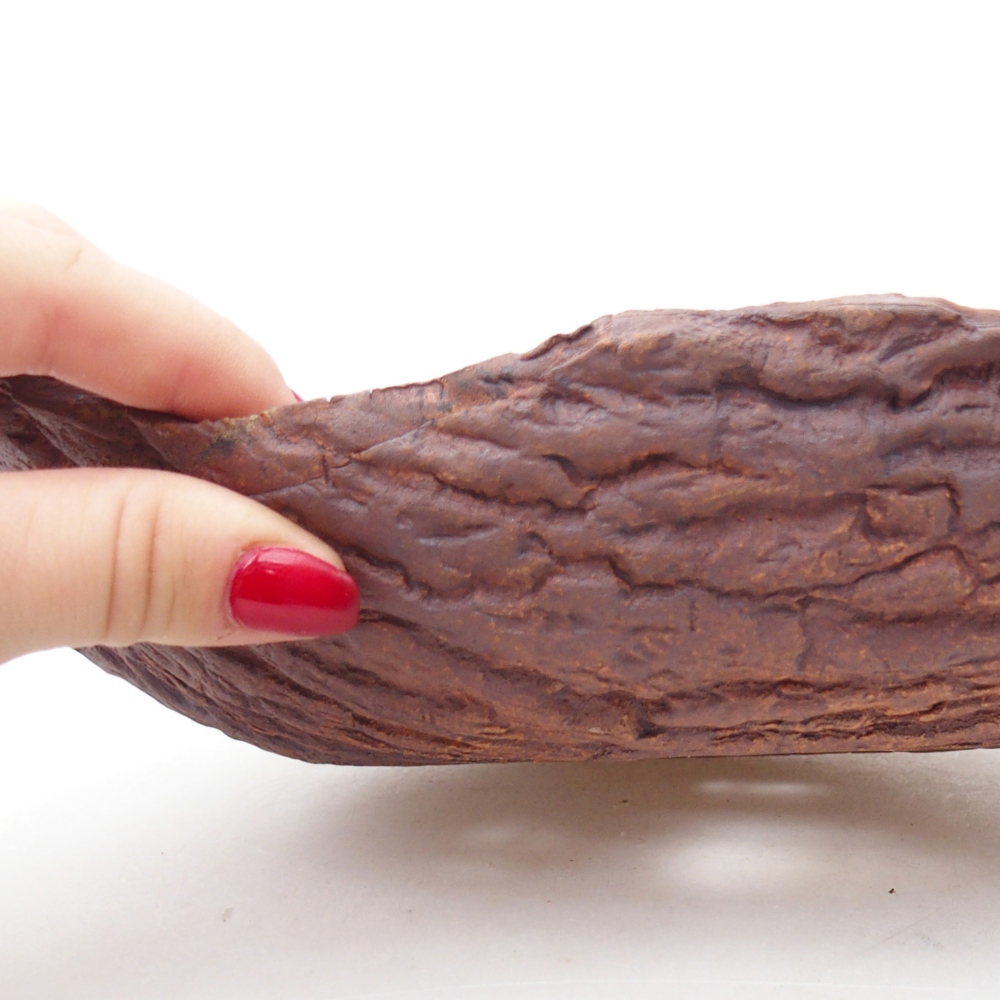 Keramická mušľa 24 x 17 x 7 cm , farba hnedá