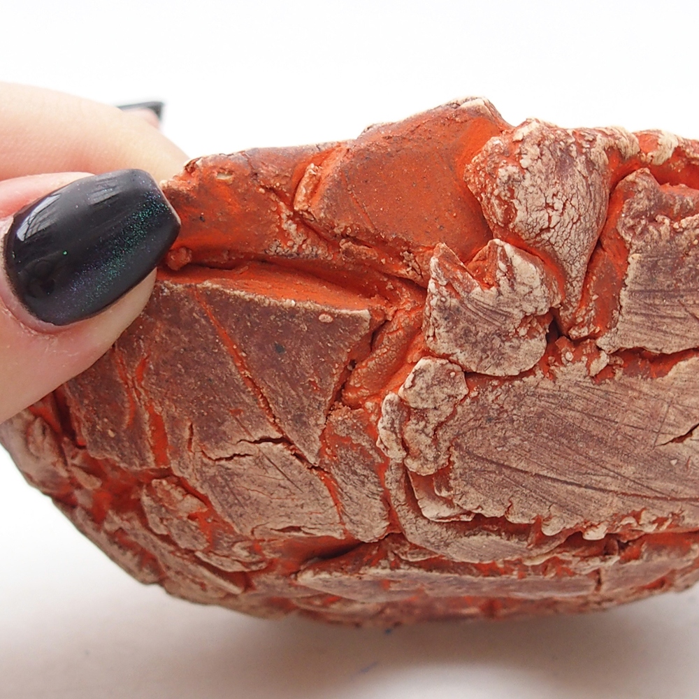 Keramická mušľa 11 x 11 x 6 cm , farba oranžová