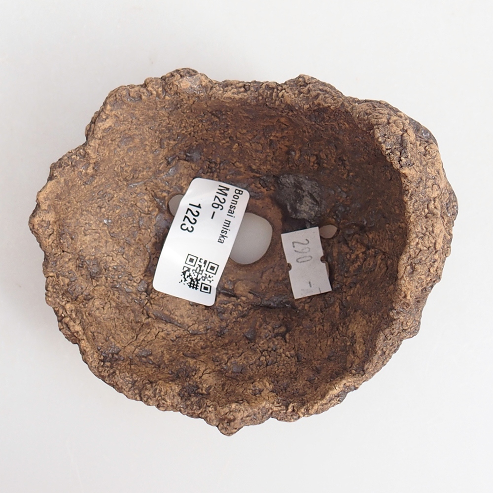 Keramická mušľa 10 x 8 x 9 cm , farba hnedá